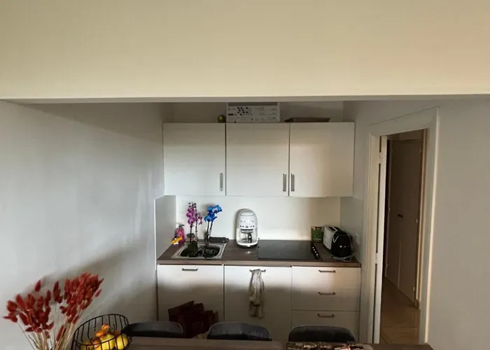 Petit Nid - 蒙特卡罗